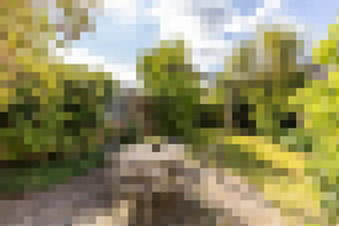 Biestakkerstraat 18 Helvoirt thumbnail 23