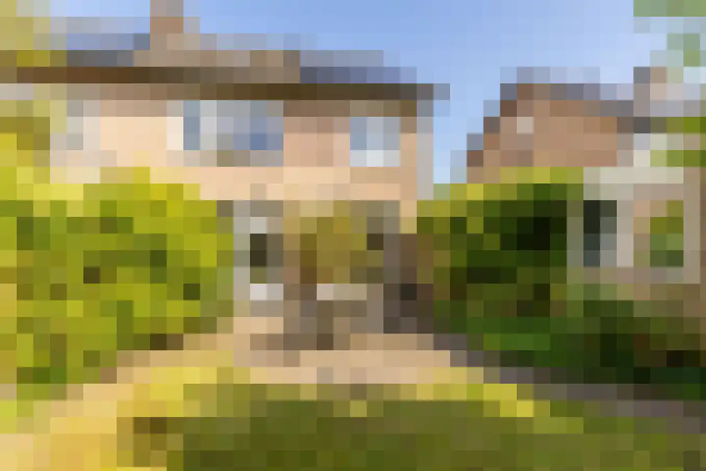 Biestakkerstraat 18 Helvoirt thumbnail 25