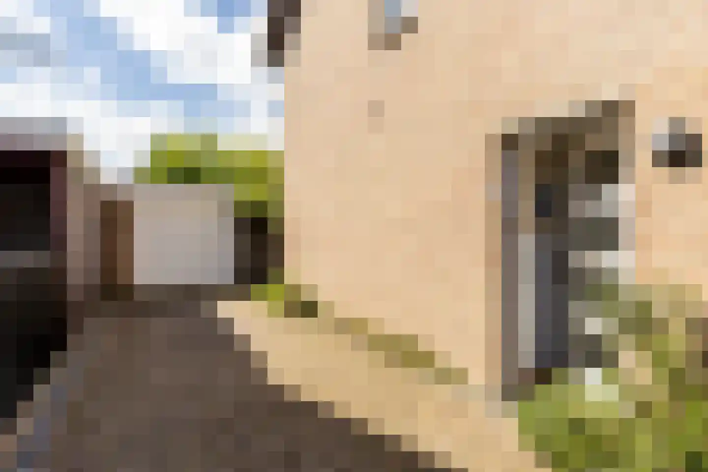 Biestakkerstraat 18 Helvoirt thumbnail 29