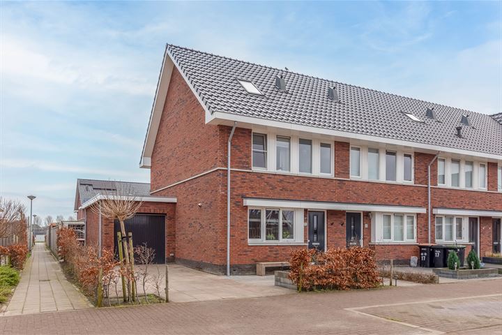 Biestarwe 15 in Anna Paulowna Foto