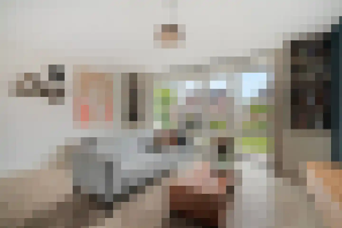 Biestarwe 24 Anna Paulowna thumbnail 11
