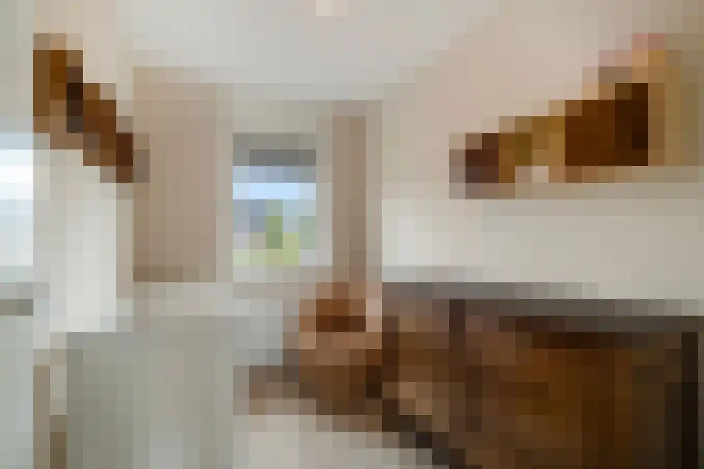 Biestarwe 24 Anna Paulowna thumbnail 30