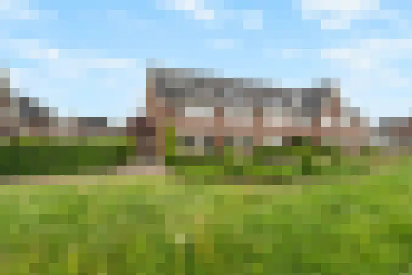 Biestarwe 24 Anna Paulowna thumbnail 5