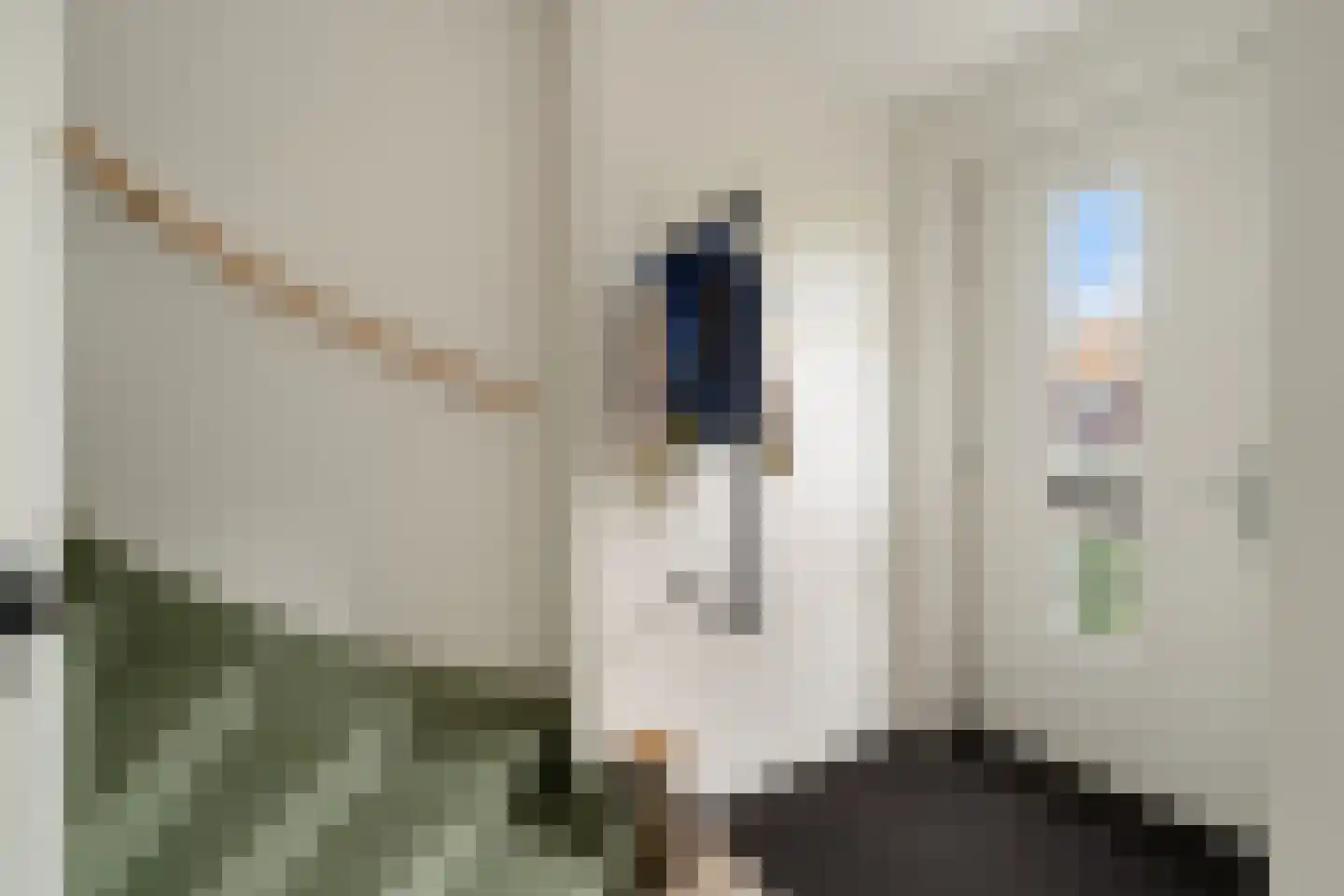 Biestarwe 24 Anna Paulowna thumbnail 7