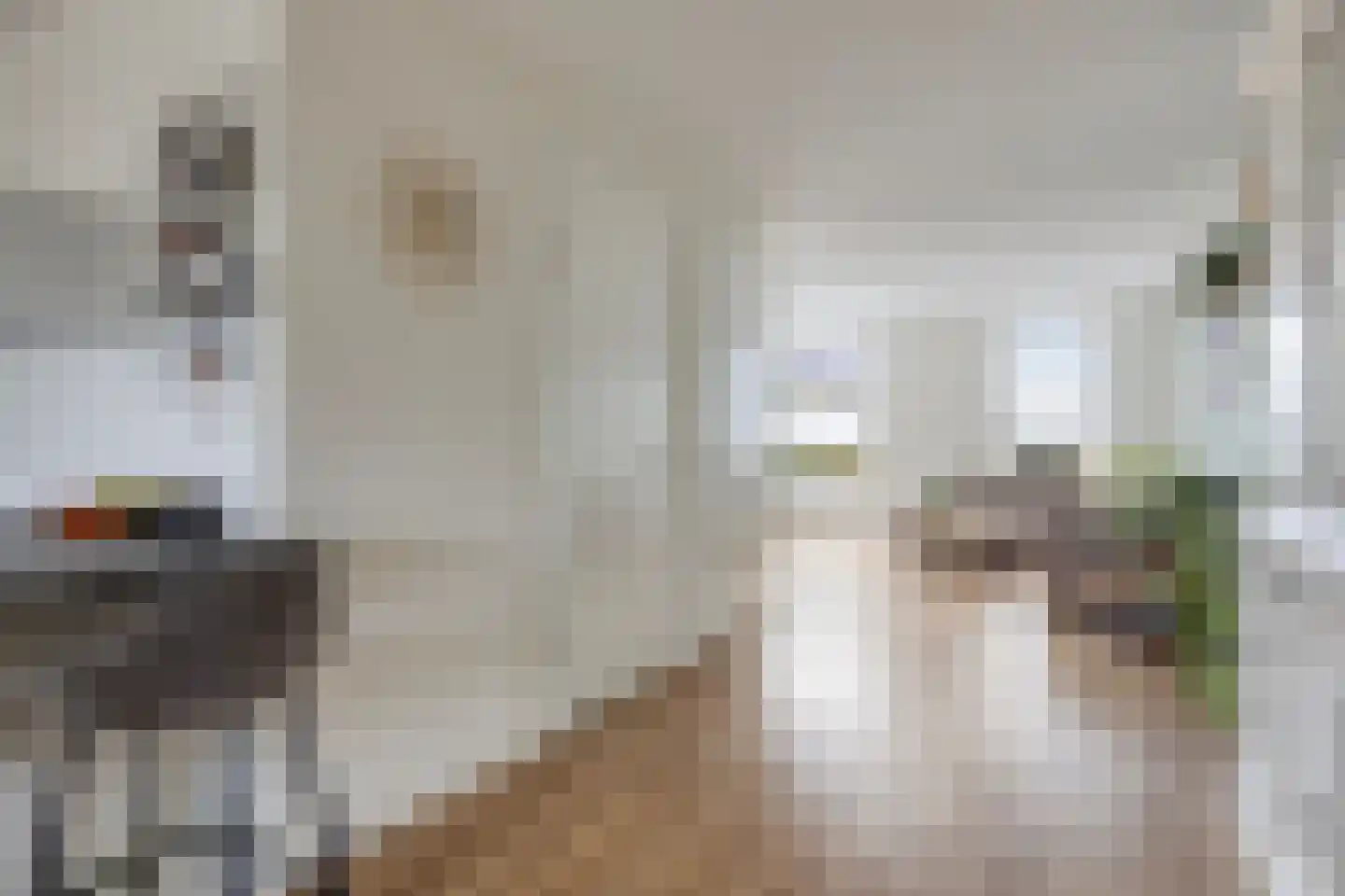 Biestarwe 33 Anna Paulowna thumbnail 14