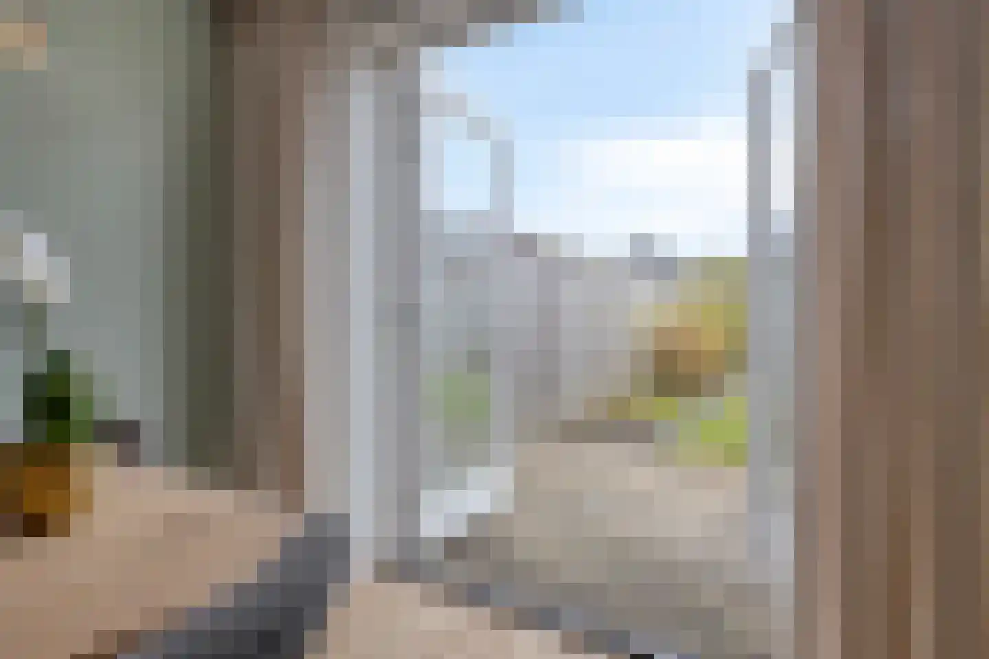 Biestarwe 33 Anna Paulowna thumbnail 25