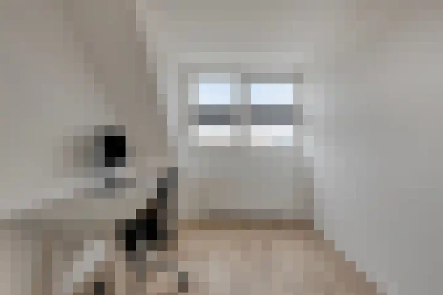 Biestarwe 33 Anna Paulowna thumbnail 39