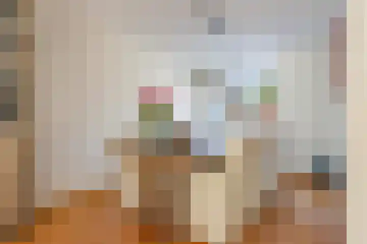 Biesterlaan 100 Schalkwijk thumbnail 13