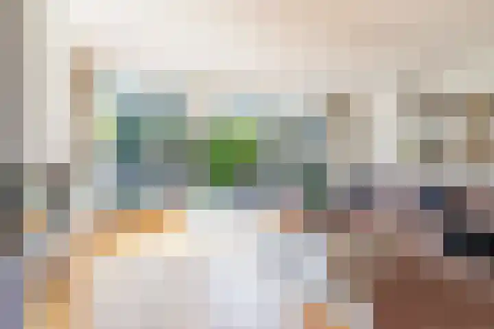 Biesterlaan 100 Schalkwijk thumbnail 14