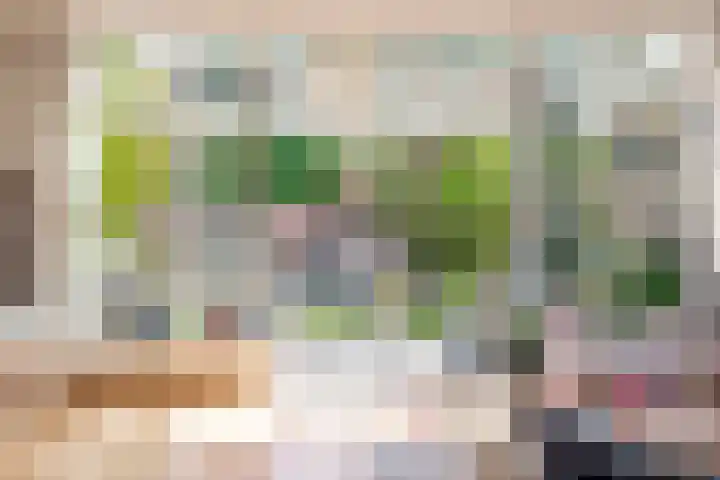Biesterlaan 100 Schalkwijk thumbnail 15