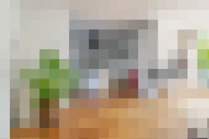 Biesterlaan 100 Schalkwijk thumbnail 17