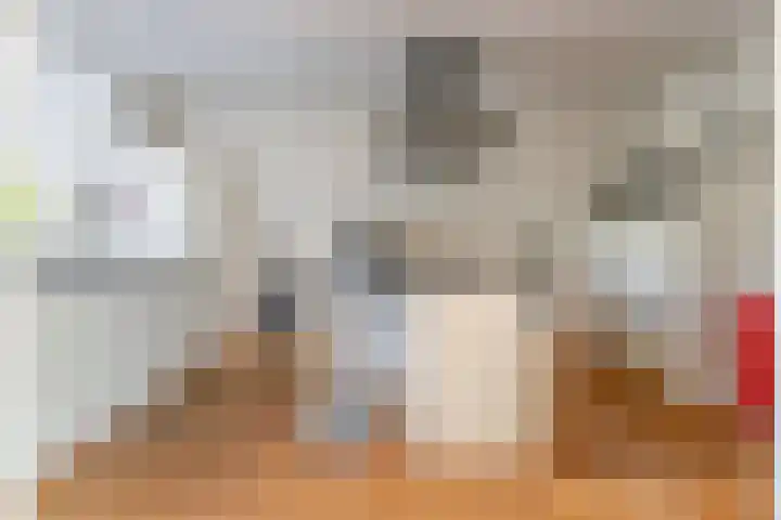 Biesterlaan 100 Schalkwijk thumbnail 20