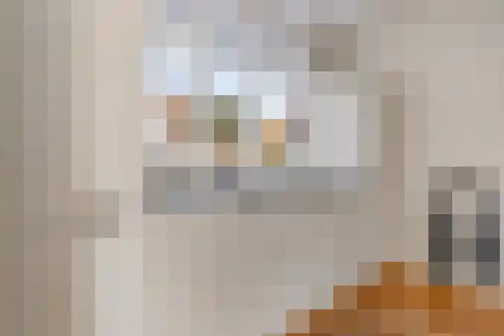 Biesterlaan 100 Schalkwijk thumbnail 22