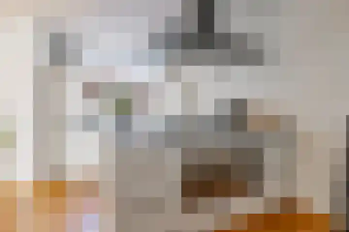 Biesterlaan 100 Schalkwijk thumbnail 23