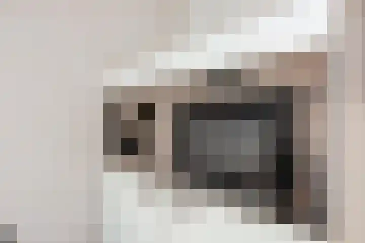 Biesterlaan 100 Schalkwijk thumbnail 24