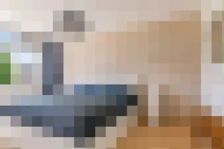 Biesterlaan 100 Schalkwijk thumbnail 28