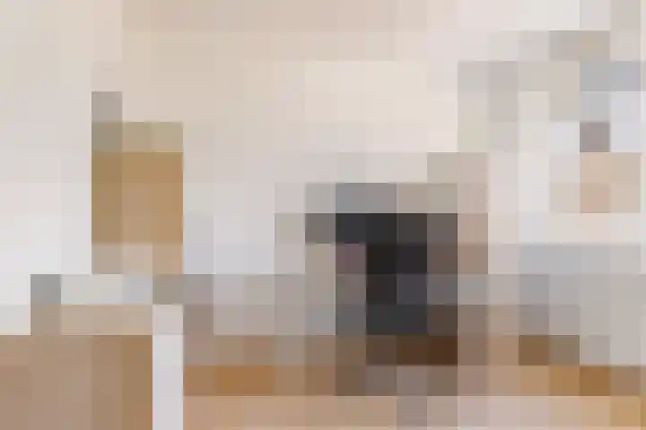 Biesterlaan 100 Schalkwijk thumbnail 31