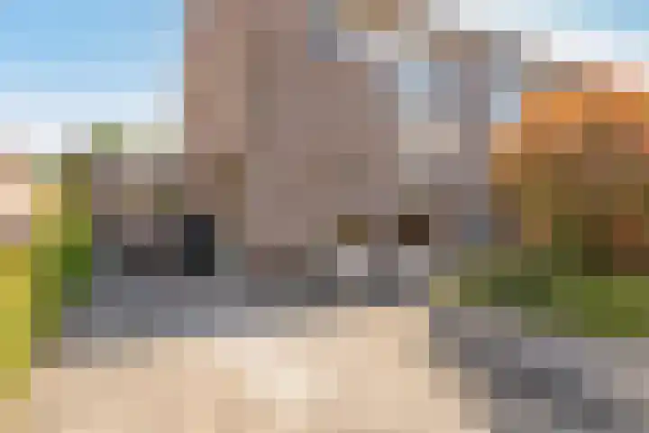 Biesterlaan 100 Schalkwijk thumbnail 4