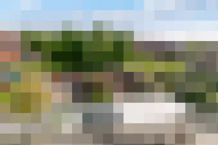 Biesterlaan 100 Schalkwijk thumbnail 41