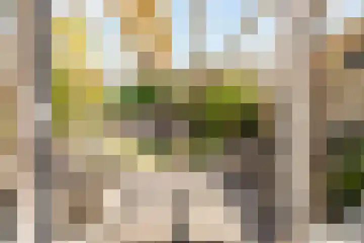 Biesterlaan 100 Schalkwijk thumbnail 42