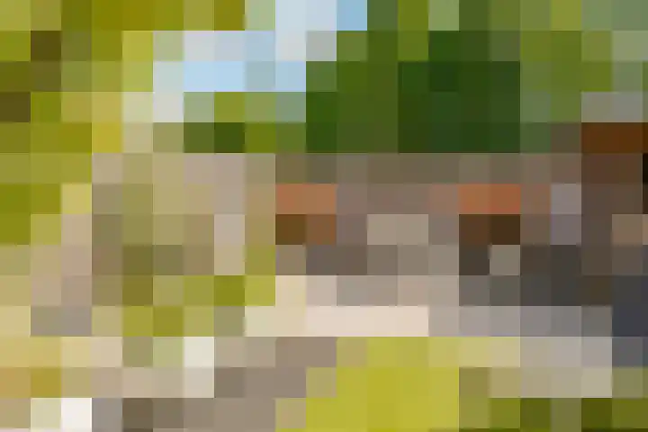 Biesterlaan 100 Schalkwijk thumbnail 45