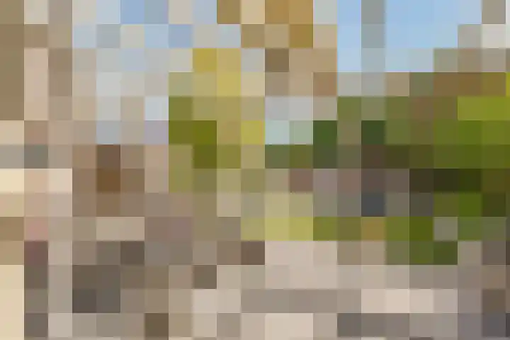 Biesterlaan 100 Schalkwijk thumbnail 46