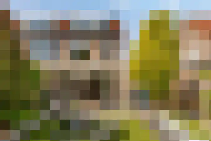 Biesterlaan 100 Schalkwijk thumbnail 48