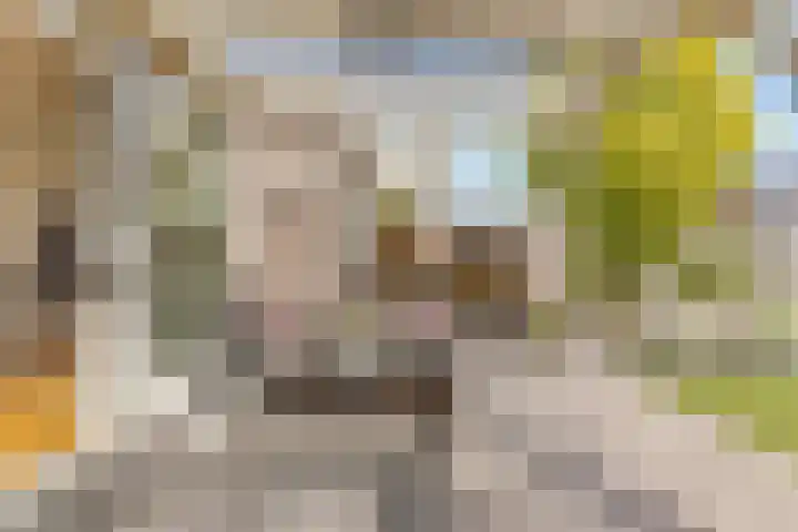 Biesterlaan 100 Schalkwijk thumbnail 49