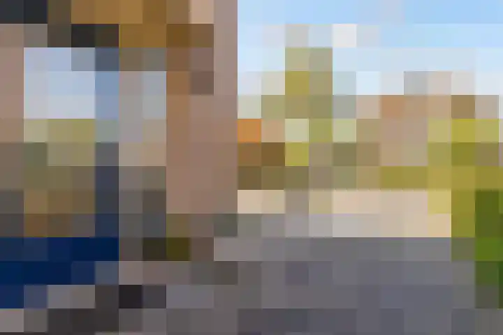 Biesterlaan 100 Schalkwijk thumbnail 5