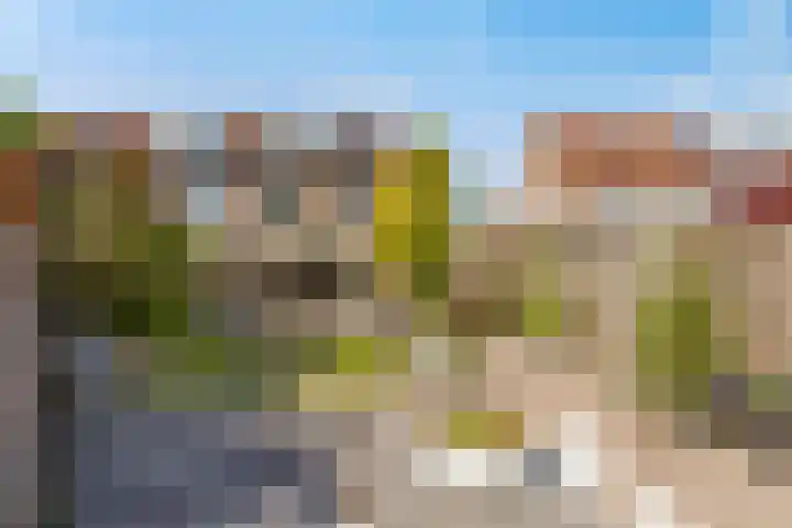 Biesterlaan 100 Schalkwijk thumbnail 50
