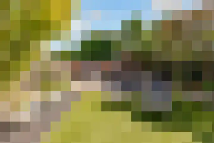 Biesterlaan 100 Schalkwijk thumbnail 51