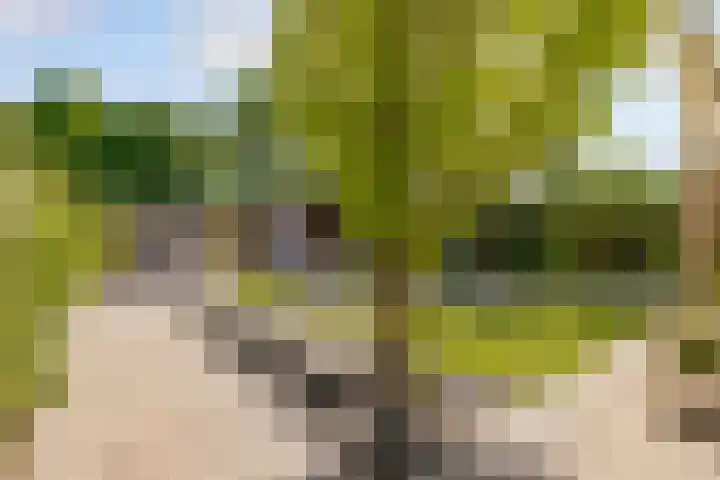 Biesterlaan 100 Schalkwijk thumbnail 53