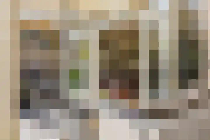 Biesterlaan 100 Schalkwijk thumbnail 54