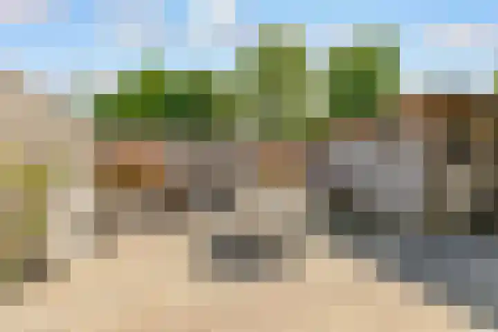 Biesterlaan 100 Schalkwijk thumbnail 55