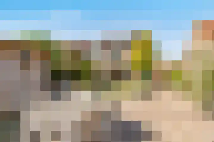 Biesterlaan 100 Schalkwijk thumbnail 56