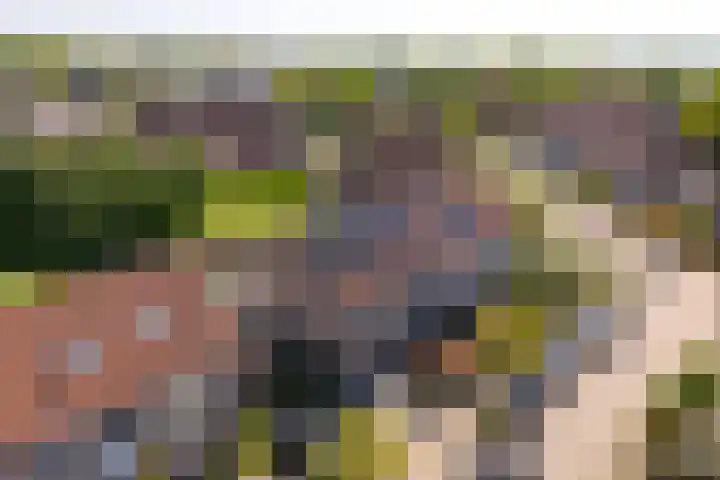 Biesterlaan 100 Schalkwijk thumbnail 57