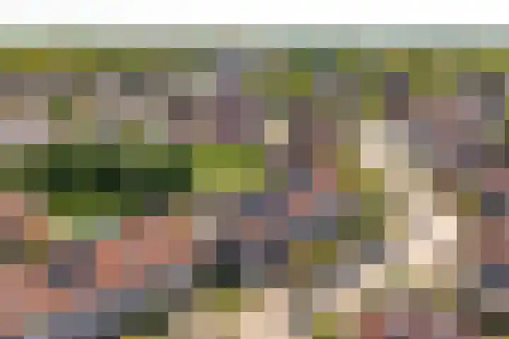 Biesterlaan 100 Schalkwijk thumbnail 58