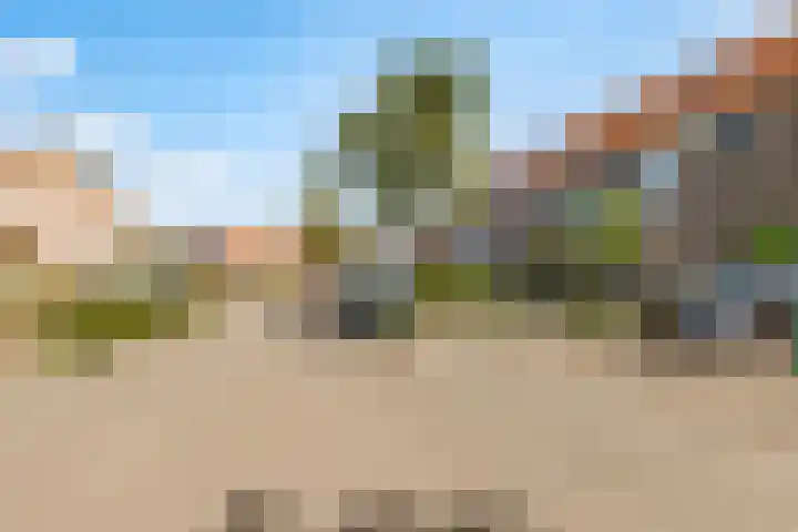 Biesterlaan 100 Schalkwijk thumbnail 60
