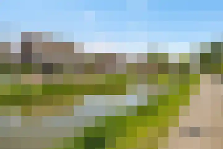 Biesterlaan 100 Schalkwijk thumbnail 61