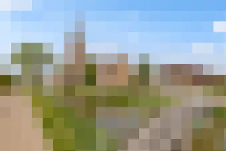 Biesterlaan 100 Schalkwijk thumbnail 62