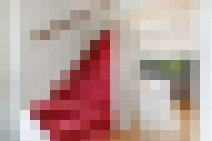 Biesterlaan 100 Schalkwijk thumbnail 7