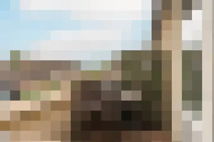 Biesterlaan 107 Schalkwijk thumbnail 10