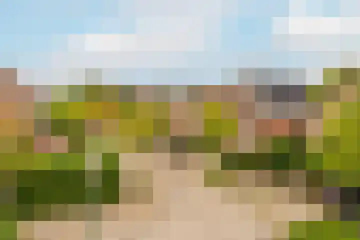 Biesterlaan 107 Schalkwijk thumbnail 12