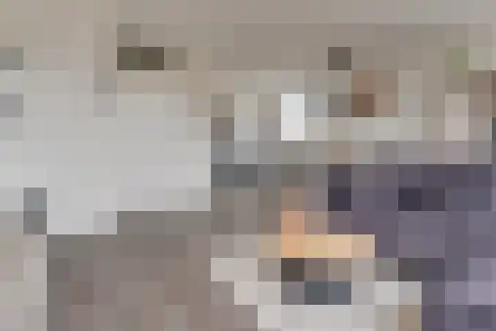 Biesterlaan 107 Schalkwijk thumbnail 13