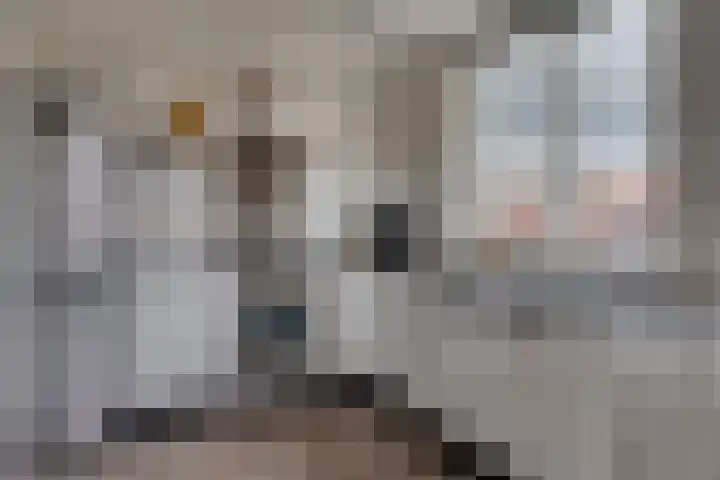 Biesterlaan 107 Schalkwijk thumbnail 15
