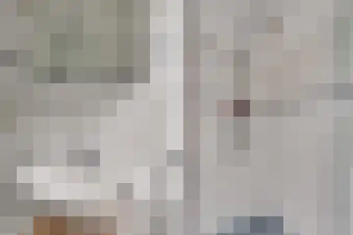Biesterlaan 107 Schalkwijk thumbnail 22