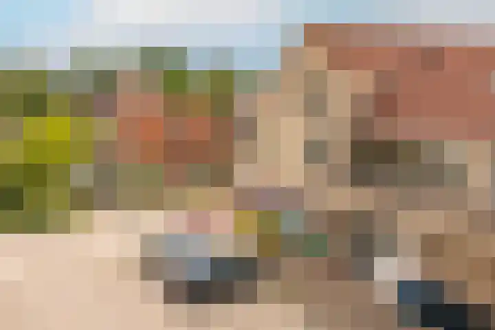 Biesterlaan 107 Schalkwijk thumbnail 24