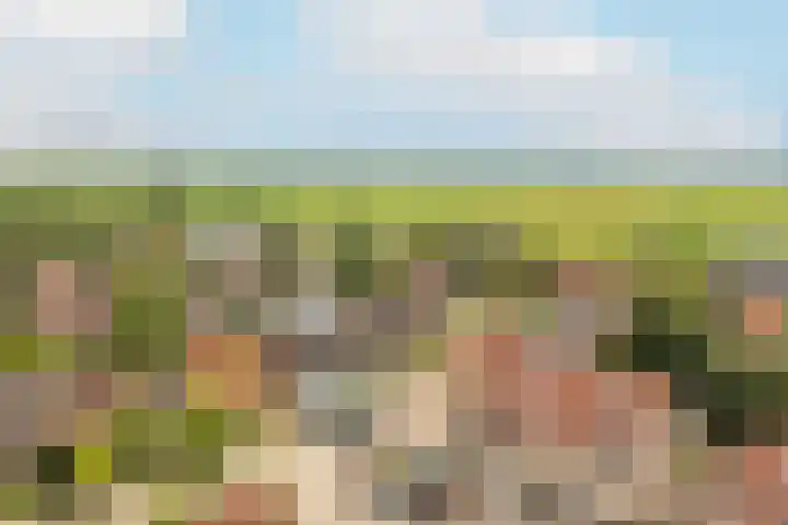 Biesterlaan 107 Schalkwijk thumbnail 26