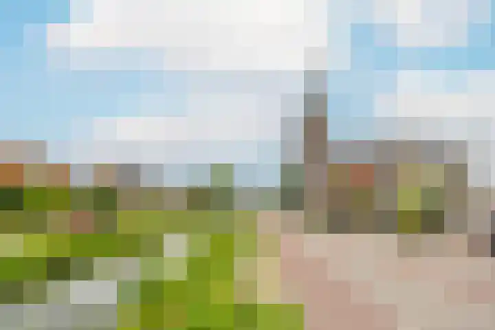 Biesterlaan 107 Schalkwijk thumbnail 28