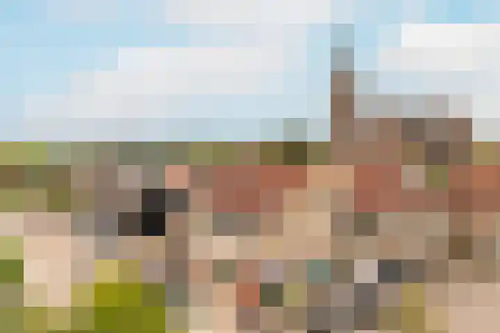 Biesterlaan 107 Schalkwijk thumbnail 35